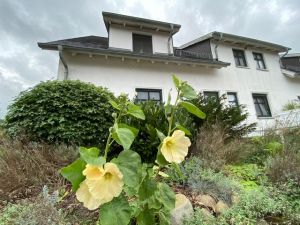 Bild 1: Rügen Träumen, die Seele baumeln lassen, die Ruhe und die Stille genießen