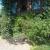 Galeriebild 3