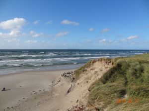 Bild 14: Ferienhaus in Rødhus-Strand / Nordjütland