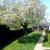 Galeriebild 1