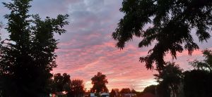 Bild 5: Ferienwohnung - Gästezimmer Wegner