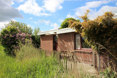 Bild: Ferienhaus "Alter Deich" zentral zwischen Büsum & St.Peter-Ording (Nordsee)