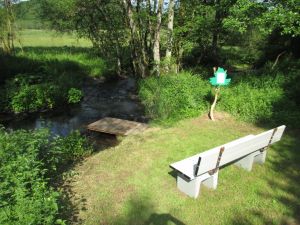 2-Bäche-Pfad Der 2-Bäche-Pfad ist ein Partnerwanderweg des Eifelsteig und beginnt direkt an der Ferienwohnung.