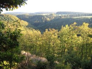 Das Sammetbachtal Das herrliche Sammetbachtal am schönen 2-Bäche-Pfad. Hier können Kinder im kleinen Sammetbach auf Entdeckungsreise gehen.
