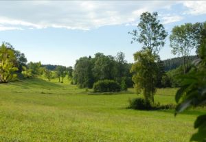 Bild 23: Ferienhaus Allgäuperle, Perle in malerischer Landschaft des Allgäus