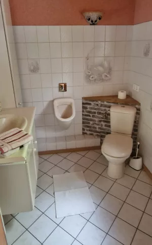 Bild 13: Panorama Ferienhaus am Waldrand - kompl. eingezäunt