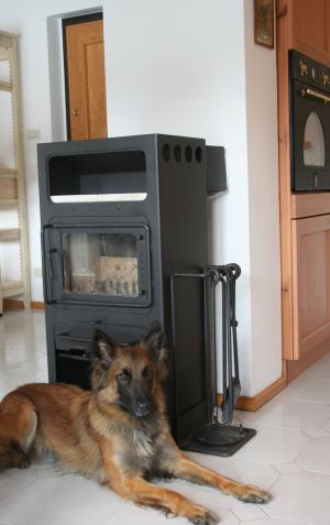 Bild 7: Villa Federica direkt am See, eingez. Garten. Hunde herzlich willkommen