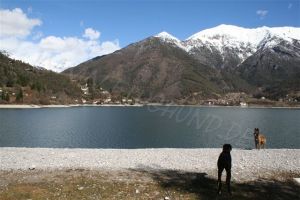 Bild 19: Villa Federica direkt am See, eingez. Garten. Hunde herzlich willkommen