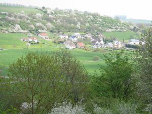 Bild 4: Ferienwohnung EifelNatur 1 - großzügige und komfortable FeWo nmit Terrasse