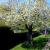 Galeriebild 3