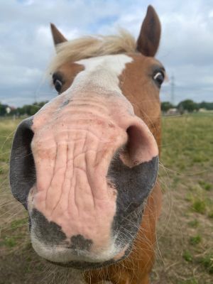 Bild 9: Ferienwohnung - Gästezimmer Wegner
