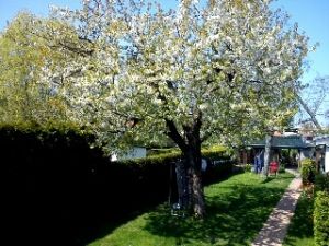 Bild 2: Ferienwohnung - Gästezimmer Wegner