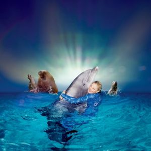 Fantastiche Show im Delphinarium (12 km)
