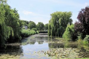 Blick auf einen schönen Teich in unserem Villa Park