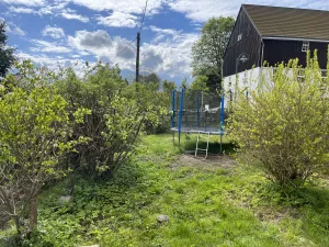 Bild 14: Ferienwohnung Miriquidi Perle - Mittleres Erzgebirge *****