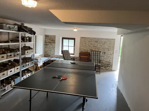 Tischtennis im Keller