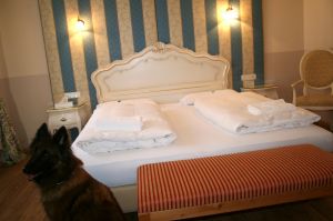 Bild 17: entzückendes Domizil mit eigenem eingezäunem Garten in Südtirol