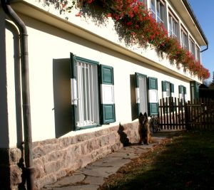 Bild 13: entzückendes Domizil mit eigenem eingezäunem Garten in Südtirol