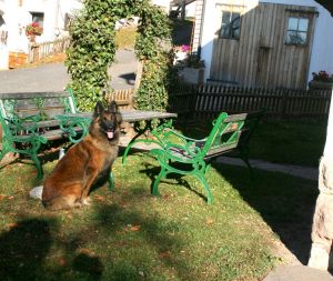 Bild 15: entzückendes Domizil mit eigenem eingezäunem Garten in Südtirol