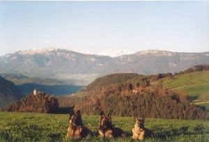 direkt gegenüber gibt es zahlreiche Wanderwege.
