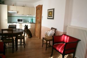 Bild 21: entzückendes Domizil mit eigenem eingezäunem Garten in Südtirol