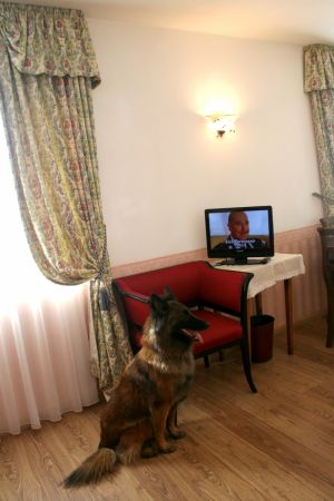 Bild 20: entzückendes Domizil mit eigenem eingezäunem Garten in Südtirol