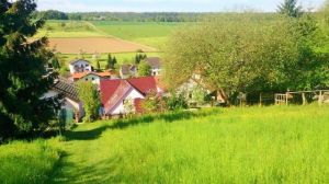 Aussenbereich Der Aussenbereich:
Zum Haus gehört ein schöner eingemauerter Innenhof, in dem es sich sehr gut Grillen lässt. Über ein kleines Törchen und eine Treppe kommt man direkt hinauf zu den Feldern, Weiden und Wiesen, wo man hervorragend mit dem Hund laufen kann. Zum Wald, in dem es sich dann richtig gut wandern lässt, ist es auch nicht weit.
Der Aussenbereich ist ebenfalls so gut ausgestattet wie der Rest des Hauses und ausbruchssicher für Hunde.
Sonnenliegen und Sonnenschirme laden zum Sonnenbad auf unserer wunderschönen Terrasse ein - auf der man einfach nur entspannen und sich wohlfühlen kann.
Ein großer Tisch mit 6 Stühlen sowie ein Grill stehen zur Verfügung.