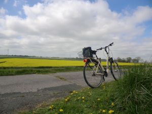 herrliche Landschaft zum Radfahren