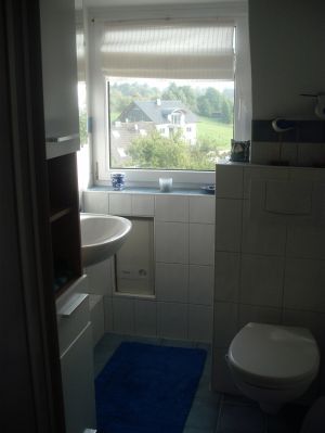 klein aber fein ist das Bad mit 
Dusche und WC