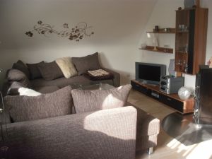 das gemütliche Wohnzimmer mit Kamin, Sat-TV, DVD Player, Musikanlage usw.