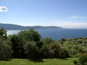 Der Blick von der Hausgruppe Mimosa Richtung See und Ostseite.