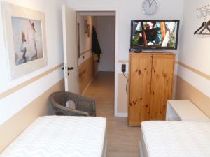 2 Einzelbetten und ein Flachbild-TV.