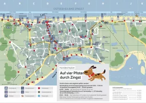 Bild 24: Ostsee Fewo Zingst - 500 m zum Strand