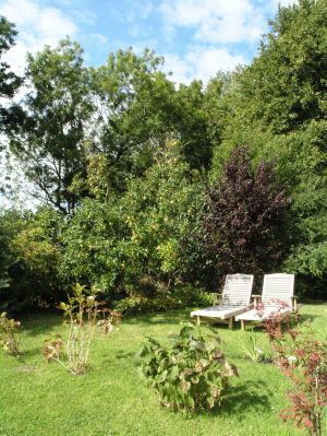 Bild 13: Villa am Alten Deich- komfortable Ferienwohnung in Butjadingen/Nordsee