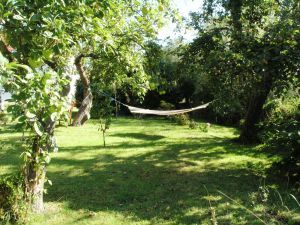 Bild 12: Villa am Alten Deich- komfortable Ferienwohnung in Butjadingen/Nordsee