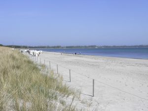 Bild 19: Reethaus Tromper Wiek, WallBox, umzäuntes Grundstück, inkl. Nebenk./Wlan