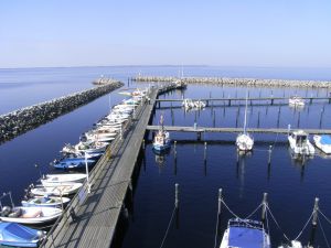 Bild 25: Reethaus Tromper Wiek, WallBox, umzäuntes Grundstück, inkl. Nebenk./Wlan