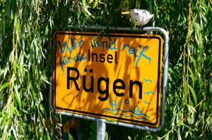 Bild 40: Reethaus Tromper Wiek, WallBox, umzäuntes Grundstück, inkl. Nebenk./Wlan