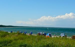 Bild 22: Reethaus Tromper Wiek, WallBox, umzäuntes Grundstück, inkl. Nebenk./Wlan