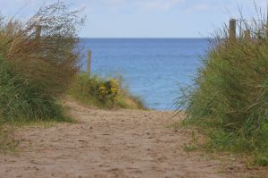 Bild 21: Reethaus Tromper Wiek, WallBox, umzäuntes Grundstück, inkl. Nebenk./Wlan