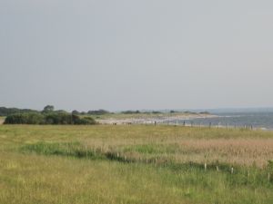 Bild 20: mitten in d. Natur, modern,ruhiges Haus für 6 Pers. rollstuhlgerecht