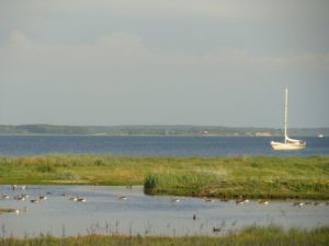 Bild 23: mitten in d. Natur, modern,ruhiges Haus für 6 Pers. rollstuhlgerecht