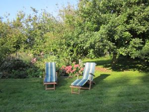 Stellen Sie die Liegestühle dorthin, wohin Sie mögen. Denn es gibt viel Platz im Grünen.