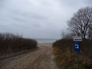 Bild 8: Steuerbord-Haus strandnaher Hundeurlaub im ruhig gelegenen Ferienhaus