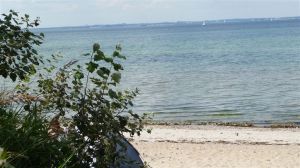 es gibt auch einen ausgewiesenen Hundestrand