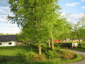 Links ist das Ferienhaus und rechts der Bauernhof des Vermieters. Die Straße wird nur von den Gästen und dem Vermieter befahren. Sackgasse!