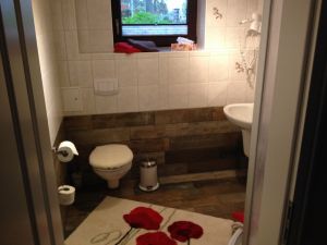 Fön, Dusche, WC und Waschbecken.