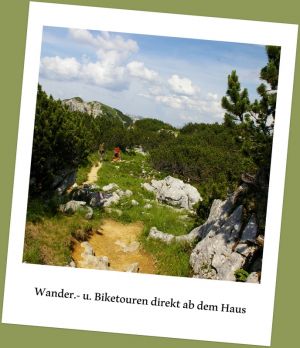 Viele Möglichkeiten werden geboten