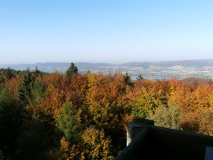 Bild 15: Sonnenhaus Nr. 47a in Weserbergland/Extertal bis 5 Personen, Hund erlaubt