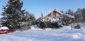 Bild 6: Sonnenhaus Nr. 47a in Weserbergland/Extertal bis 5 Personen, Hund erlaubt